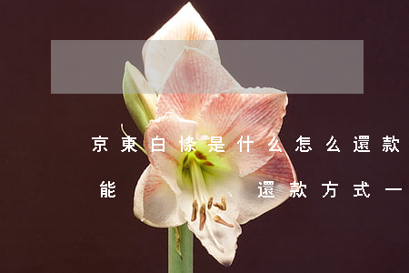 京東白條是什么,怎么還款，京東白條全解析：功能、還款方式一網(wǎng)打盡！